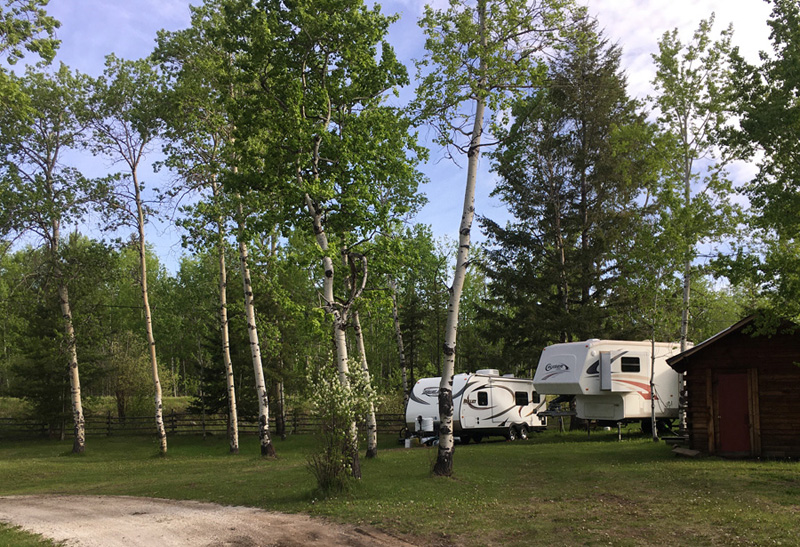 RVs parked in the campground.