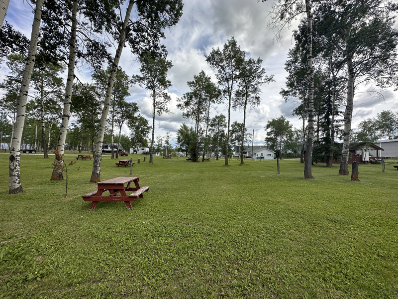 Green grass RV camping spots with picnic tables.